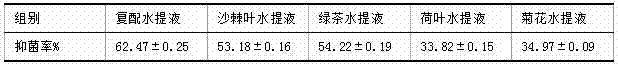 Instant seabuckthorn tea powder with bacteriostasis effect, and preparation method thereof