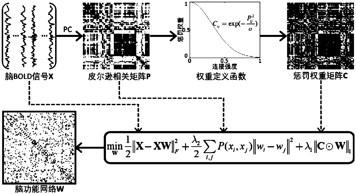 Weighted graph regularization sparse brain network construction method