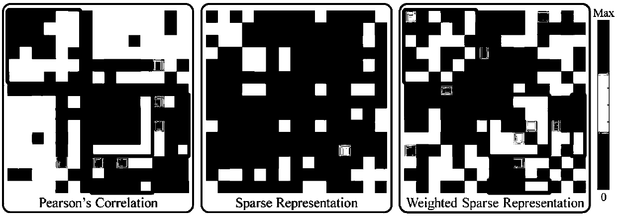 Weighted graph regularization sparse brain network construction method