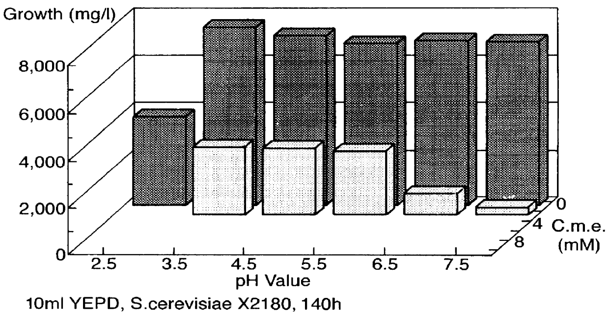 Preservative and flavoring system