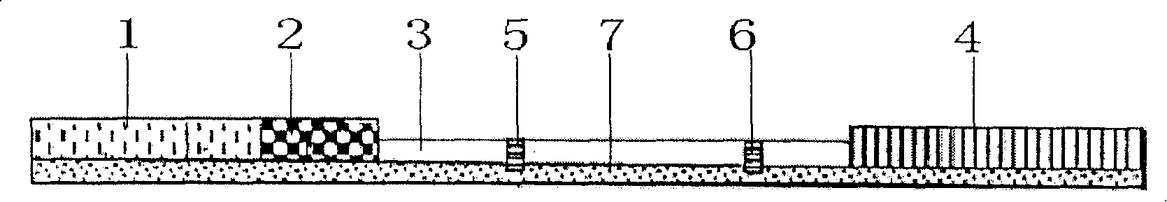 Immuno colloidal gold test paper strip for detecting sulfa drug residue