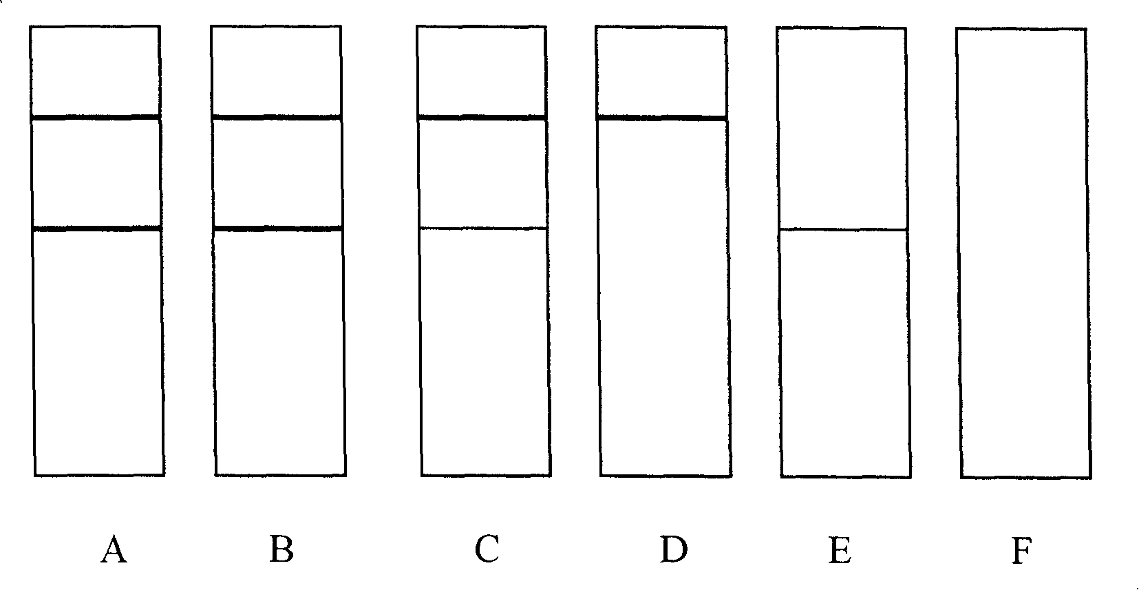 Immuno colloidal gold test paper strip for detecting sulfa drug residue