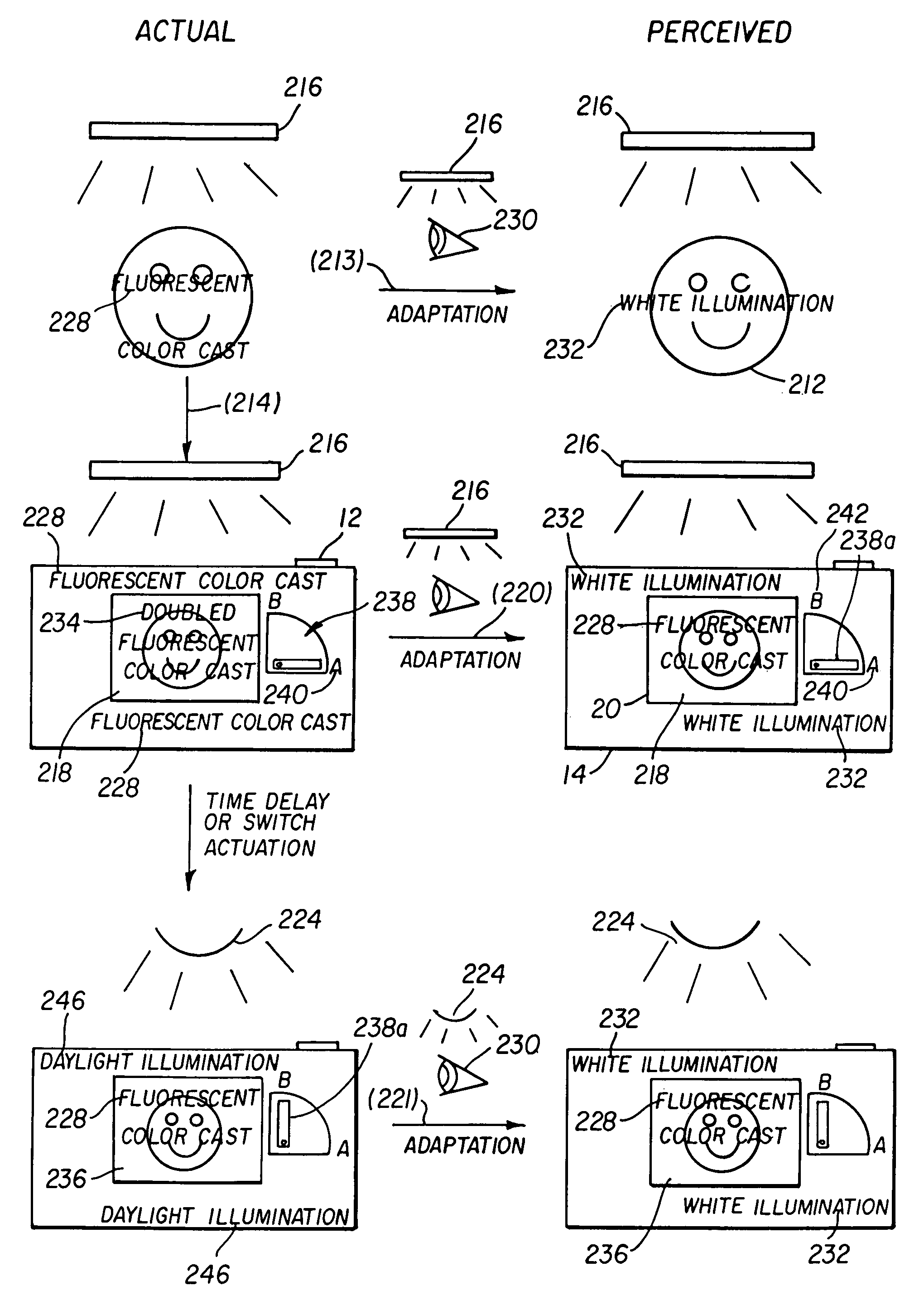 Camera having user interface ambient sensor viewer adaptation compensation and method