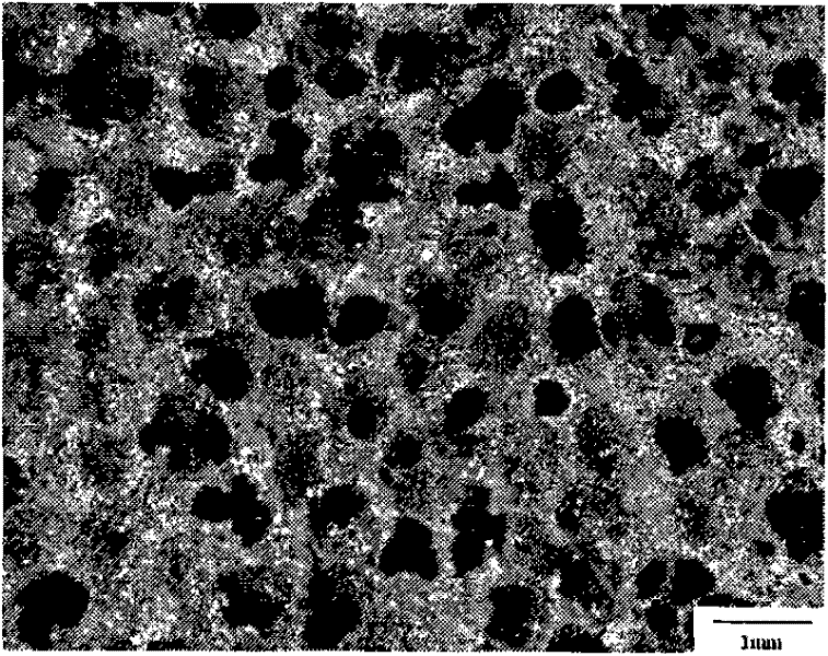 Medical metal implant material porous niobium and preparation method thereof