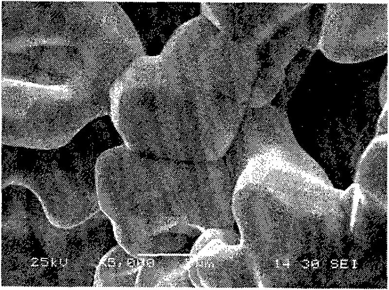 Medical metal implant material porous niobium and preparation method thereof