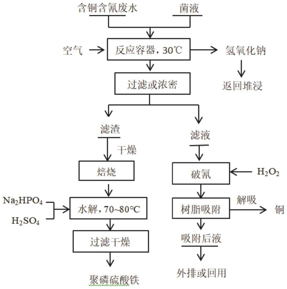 Method for removing cyanogen and recycling copper by mixing bacterial liquid and copper-containing and cyanogen-containing wastewater