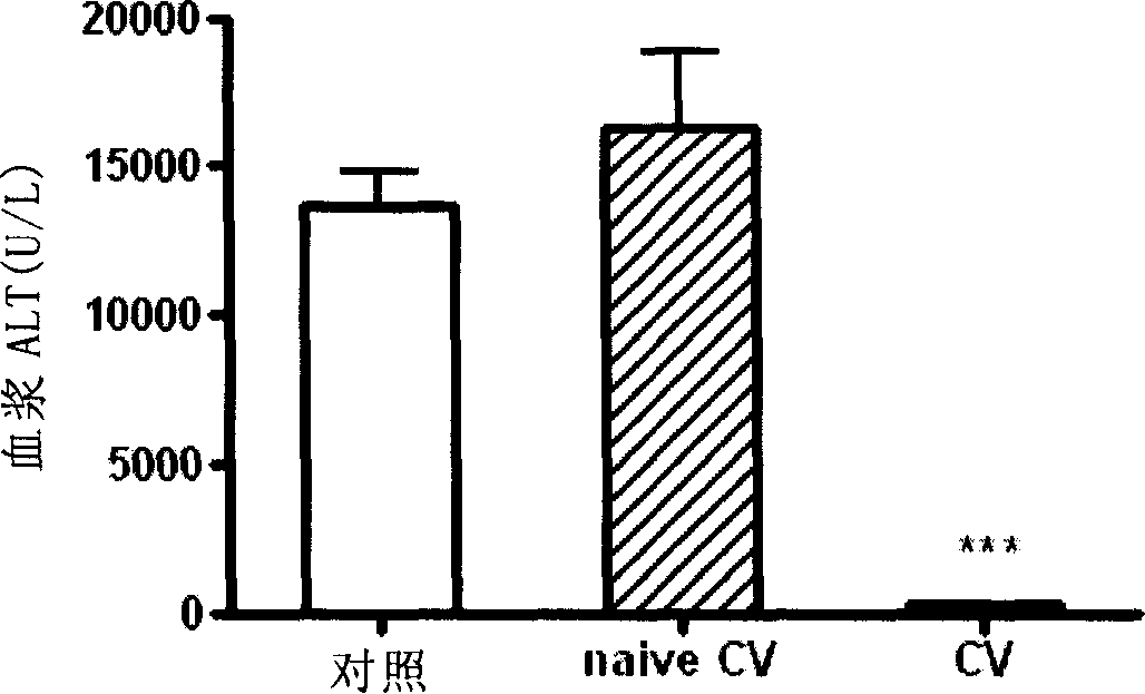 Cell vaccine for preventing and controlling hepar damnification