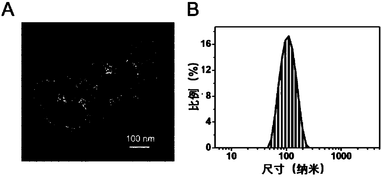 Nano drug carrier used for treating diabetes and composite medicine thereof