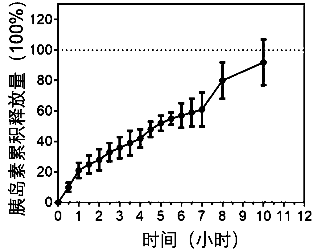 Nano drug carrier used for treating diabetes and composite medicine thereof