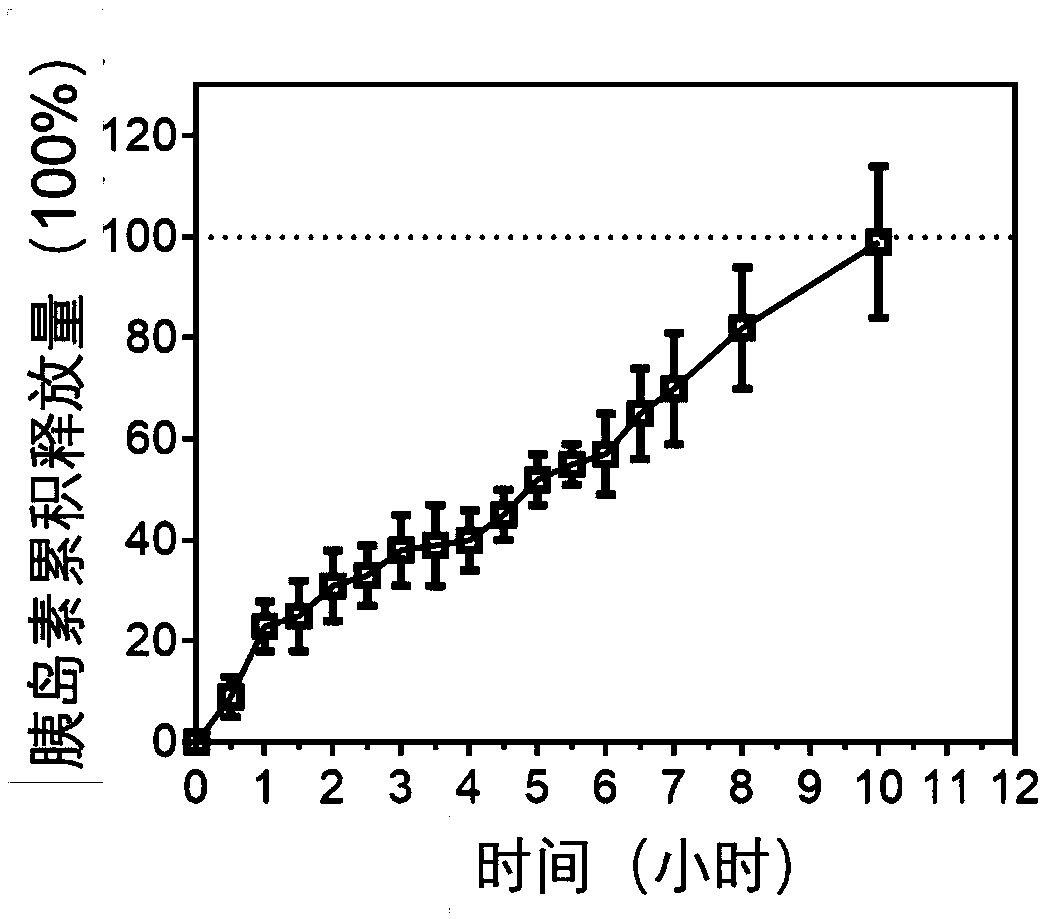 Nano drug carrier used for treating diabetes and composite medicine thereof