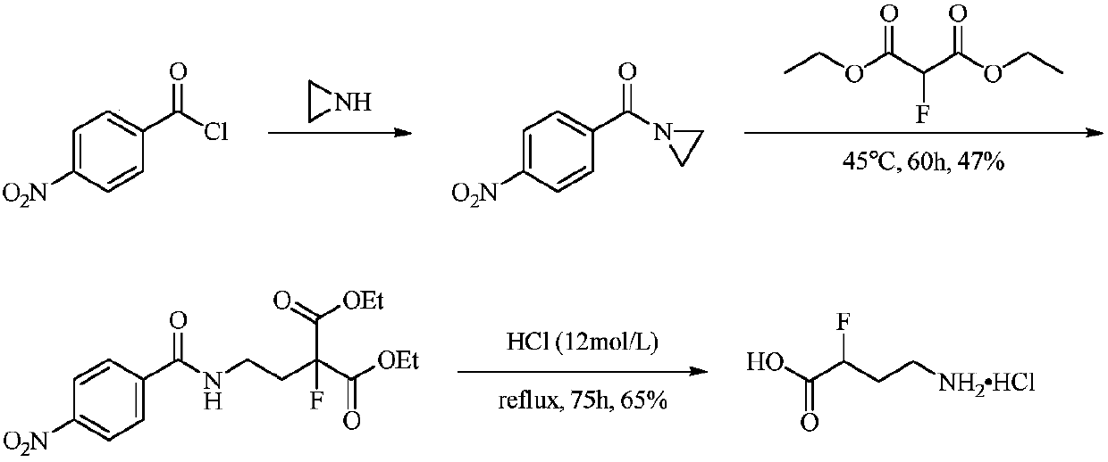 Synthesis method of (+/-)-alpha-fluoro-gamma-amino acid