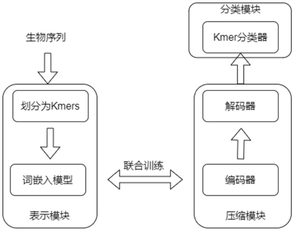 Biological sequence feature extraction method based on word embedding and auto-encoder fusion