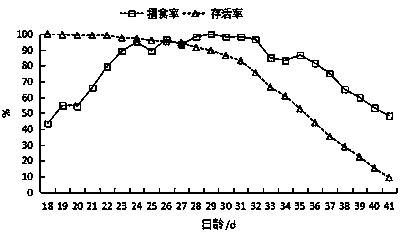 Artificial breeding method for wild schizothorax waltoni