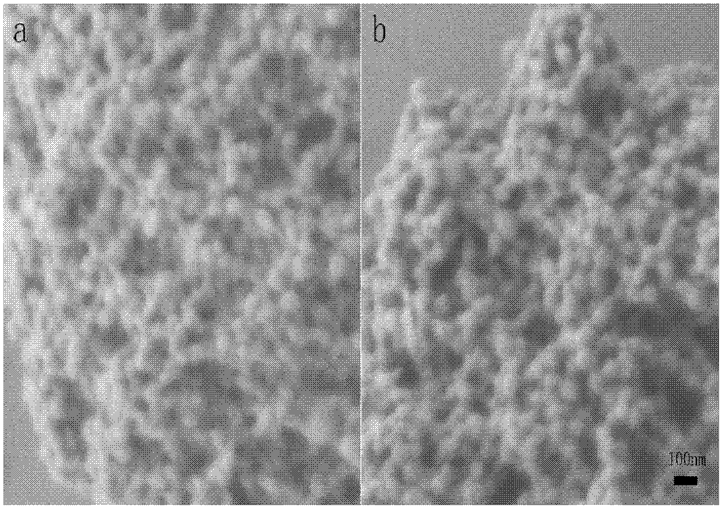 PH-response anti-cancer medicinal preparation and preparation method thereof