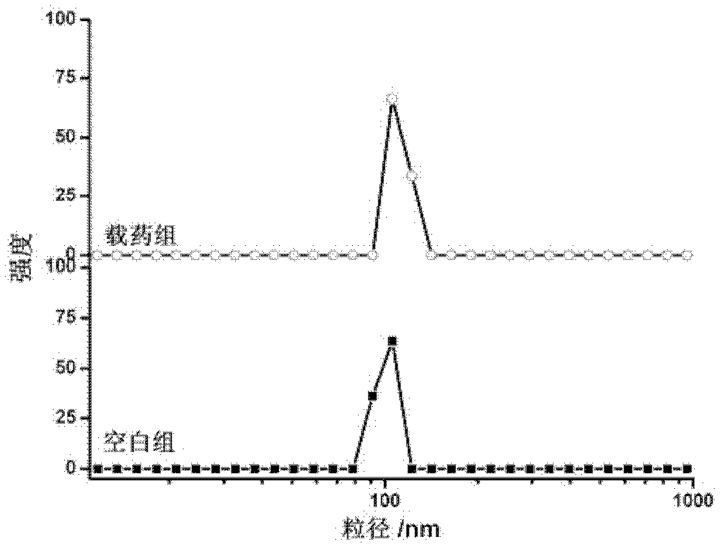 PH-response anti-cancer medicinal preparation and preparation method thereof