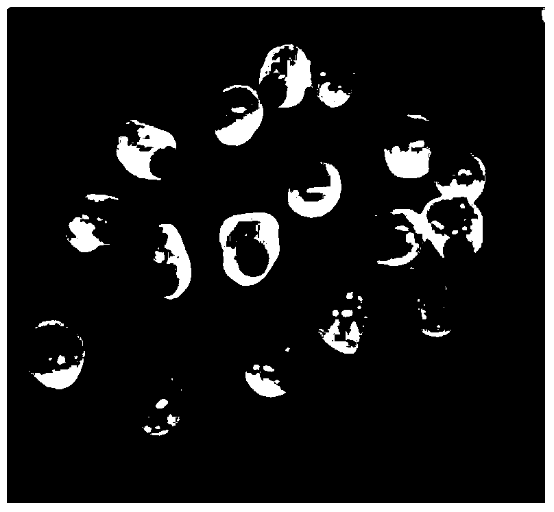 A method for remediating harmful organic and/or heavy metal contaminated substrates