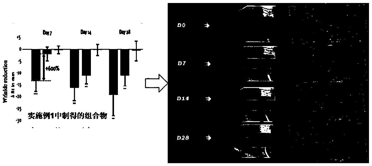 Composition with anti-aging and repairing effects and preparation method and application thereof