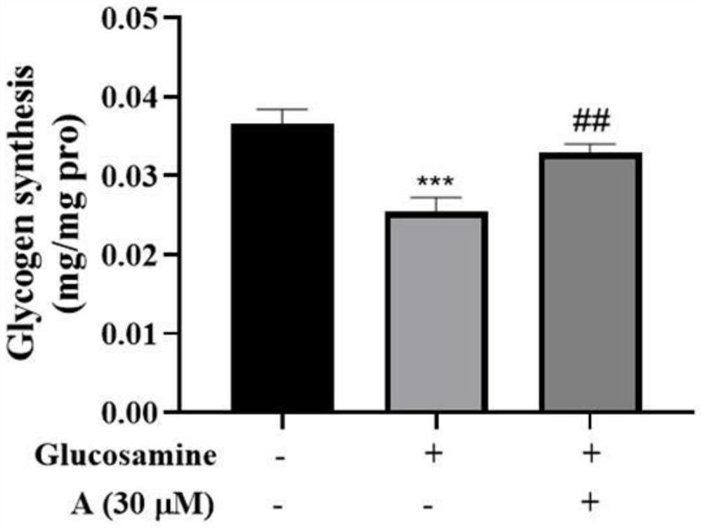 Application of 3-aryl coumarin compound and insulin resistance preparation