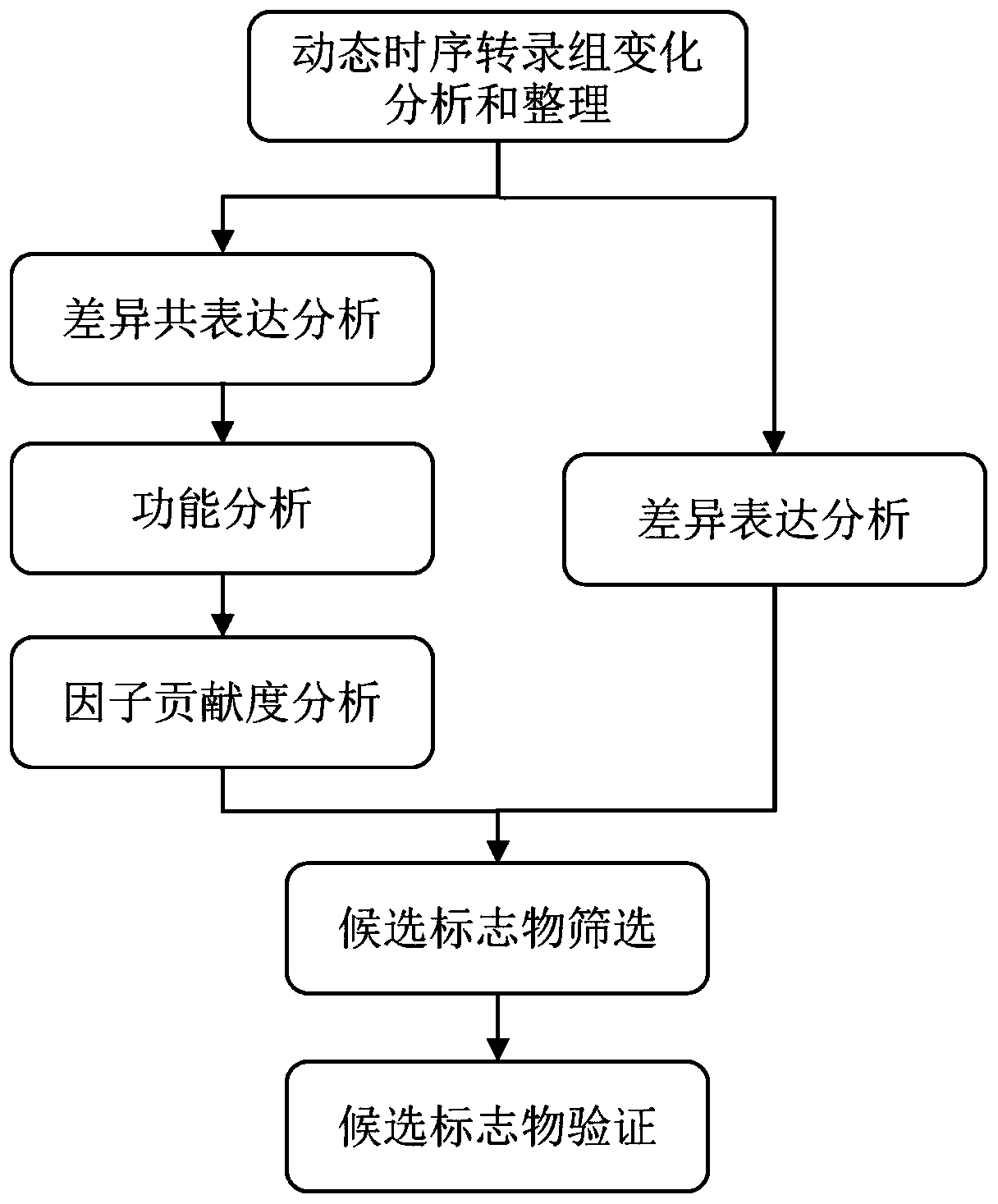 Method and system for finding molecular marker based on transcriptome time sequence dynamic change and gene function association