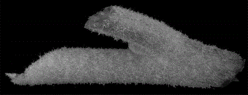 Method for preserving segregation population or distant hybirdization progeny of eggplant through stem microcuttage