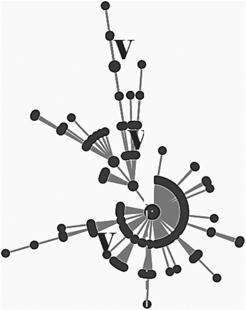 Display method of network data and apparatus thereof