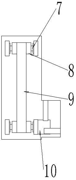 Detection device for fluorescent probe