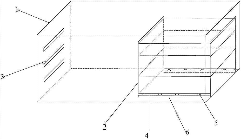 Locust feeding device