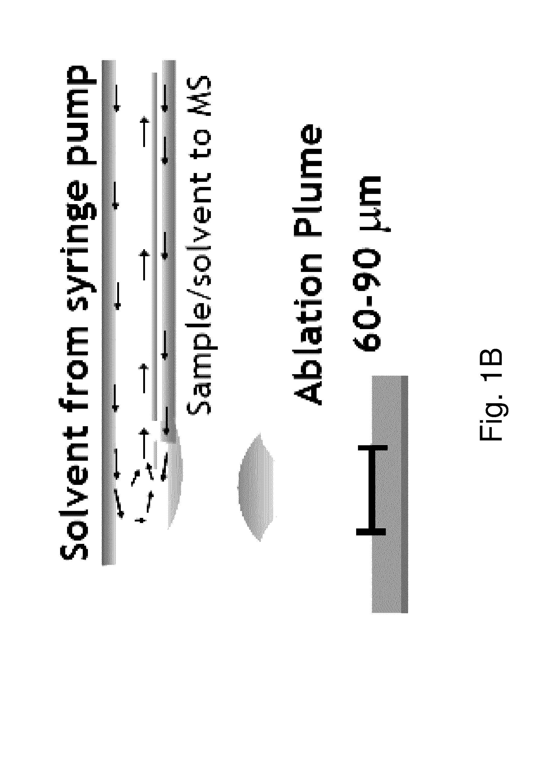 Ambient Infrared Laser Ablation Mass Spectrometry (AIRLAB-MS) with Plume Capture by Continuous Flow Solvent Probe