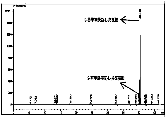 Method for reversed phase separation of derived leucine and isoleucine