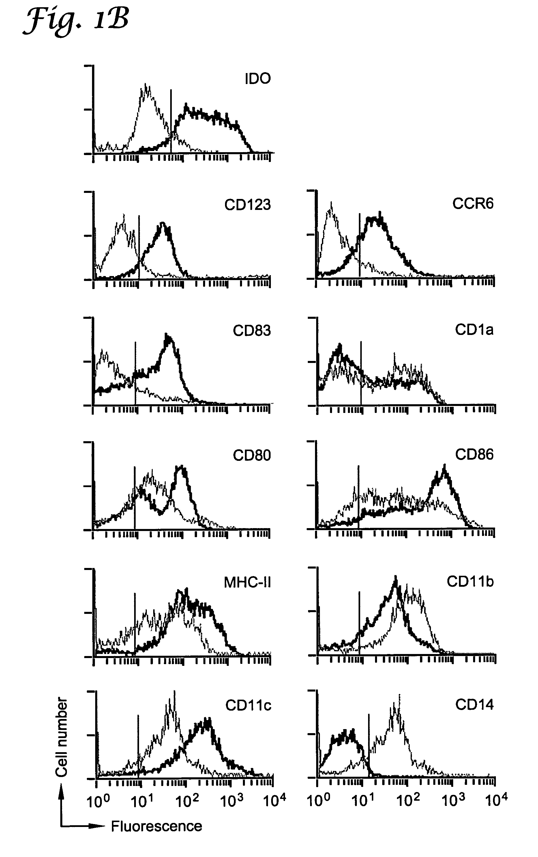 Regulation of T cell-mediated immunity by D isomers of inhibitors of indoleamine-2,3-dioxygenase