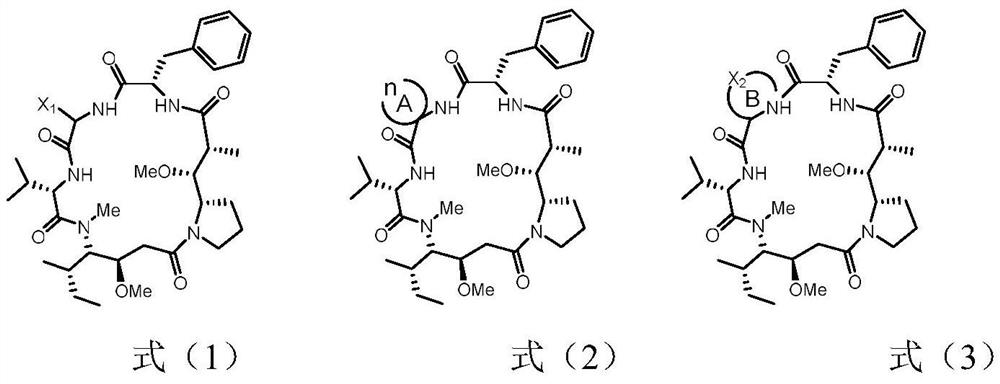 Dolastatin 10-cyclic peptide derivative and its preparation method and application