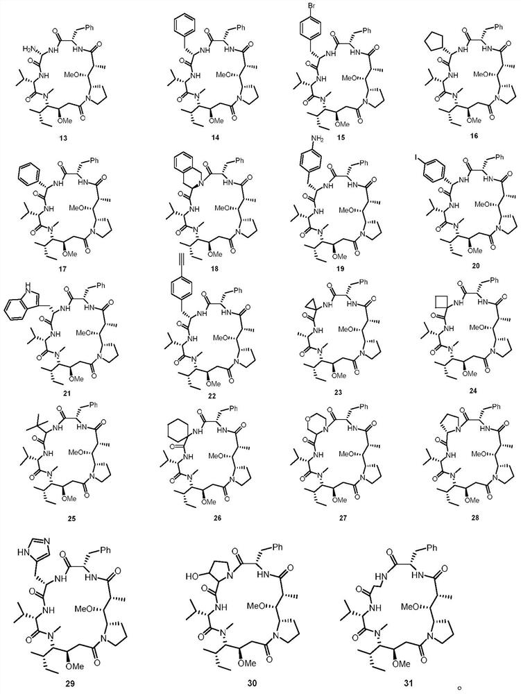 Dolastatin 10-cyclic peptide derivative and its preparation method and application