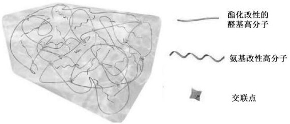 A kind of self-healing fast sealing medical glue and preparation method thereof