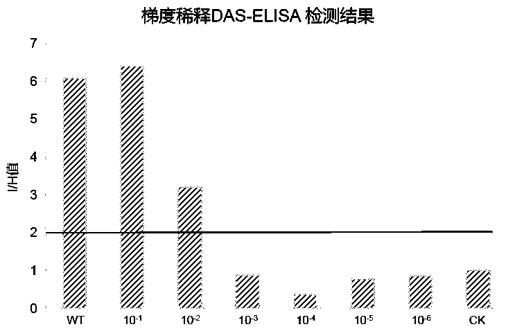 RNA-RP RT-PCR method capable of fast detecting melon viruses