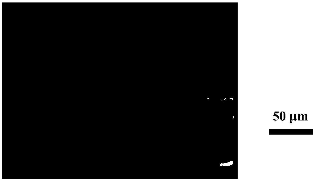 Preparation method of anthocyanin emulsion with high embedding rate