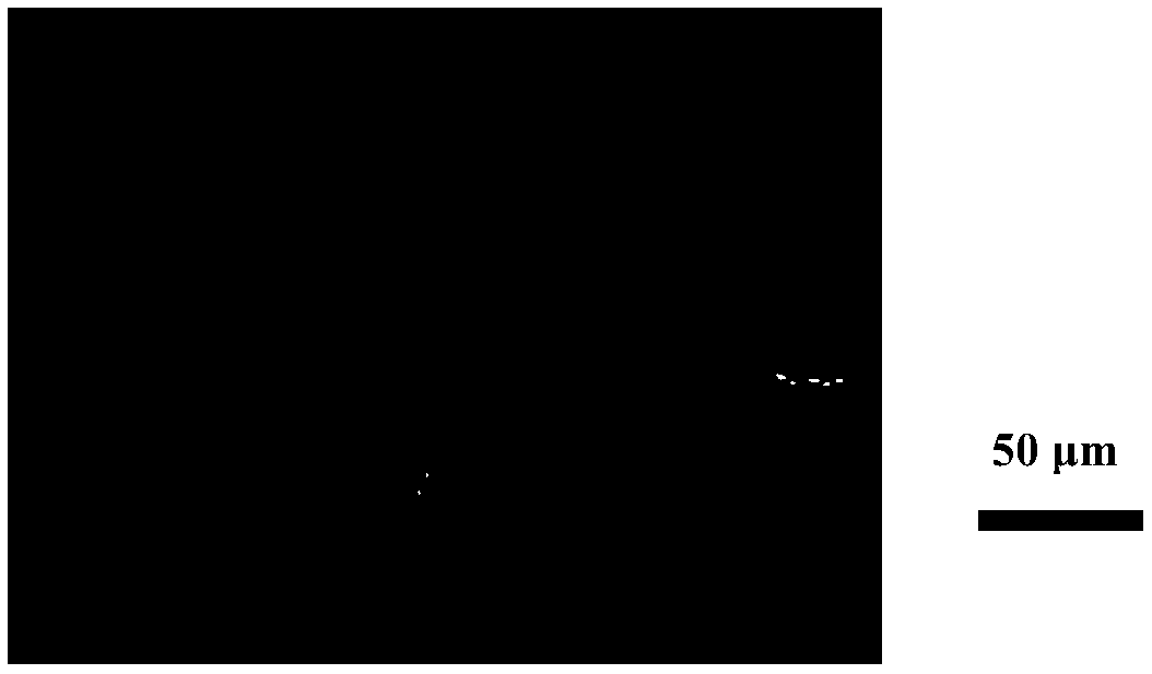 Preparation method of anthocyanin emulsion with high embedding rate