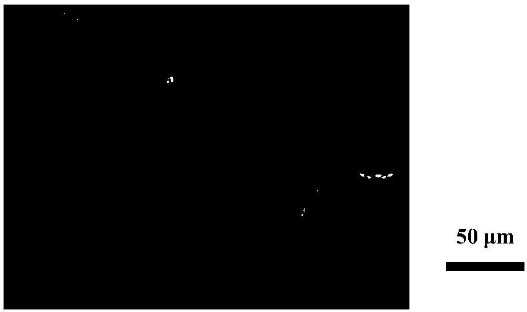 Preparation method of anthocyanin emulsion with high embedding rate