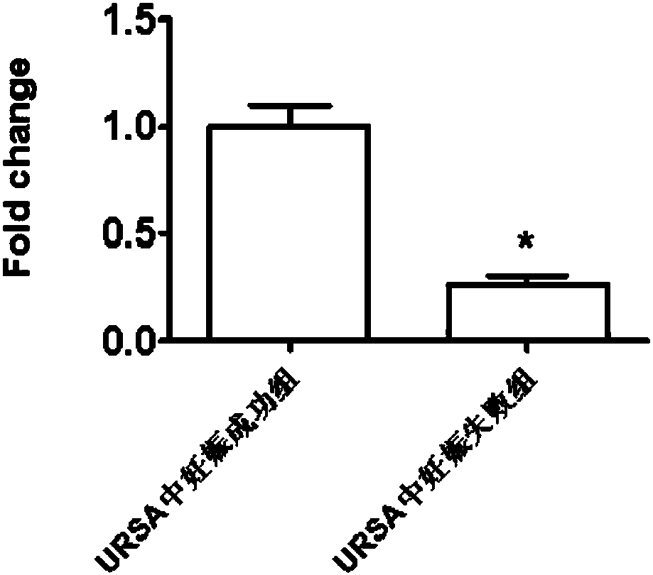 Application of circ-0079591 in serum as marker for URSA diagnosis and pregnancy outcome assessment