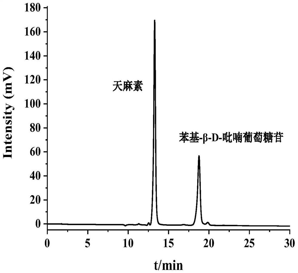 a kind of sio  <sub>2</sub> / Urushiol ester polymer microspheres, preparation method and its application in the separation of gastrodin and its derivatives