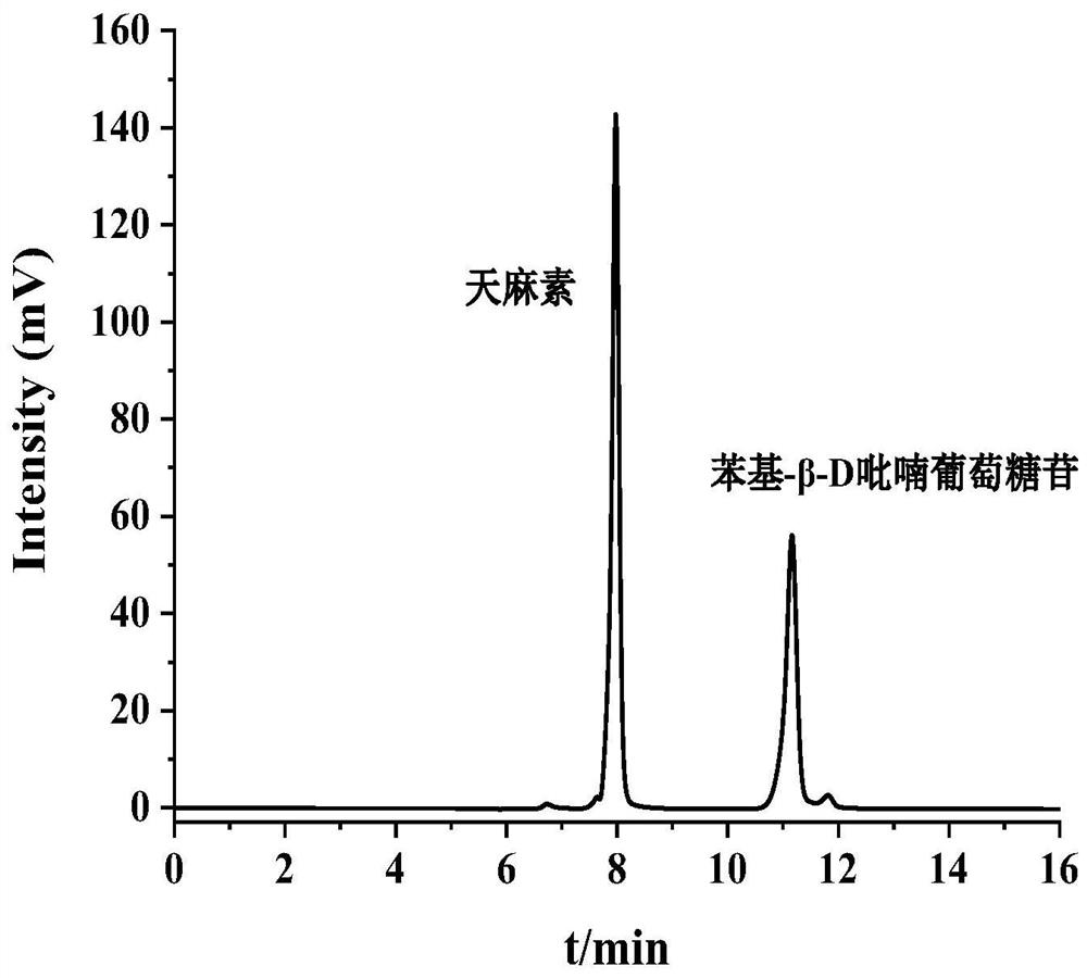 a kind of sio  <sub>2</sub> / Urushiol ester polymer microspheres, preparation method and its application in the separation of gastrodin and its derivatives