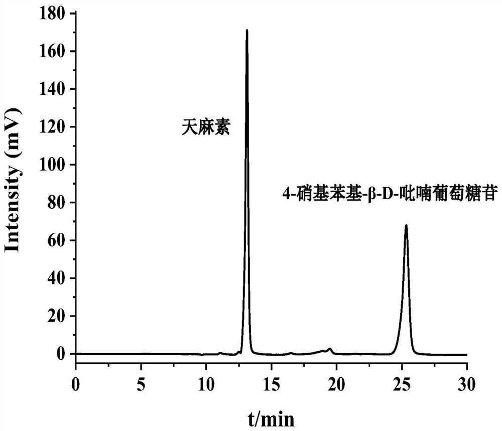 a kind of sio  <sub>2</sub> / Urushiol ester polymer microspheres, preparation method and its application in the separation of gastrodin and its derivatives