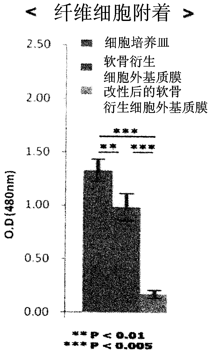 Use of composition comprising surface-modified chondrocyte-derived extracellular matrix membrane as an active ingredient for preventing adhesion