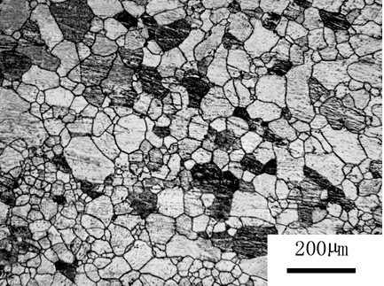 Magnesium alloy grain refiner and grain refined magnesium alloy and preparation method of thereof