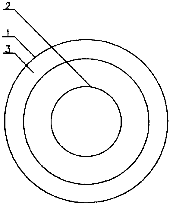 Lacrimal ductule plug