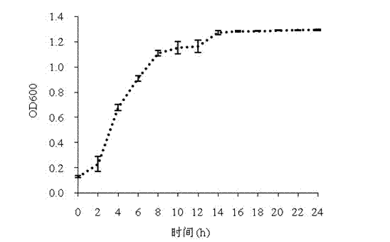 Lactococcus lactis fermented at low temperature and method for preparing yoghurt by using Lactococcus lactis