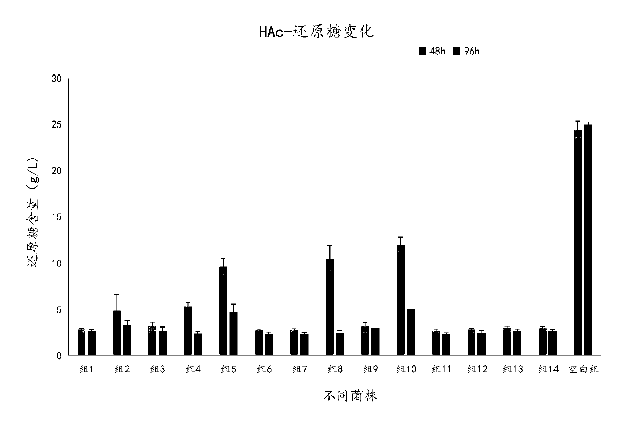 Necteromyces rattus and method for treating high-ammonia-nitrogen biogas slurry by using necteromyces rattus to produce single cell protein