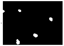 Application of decoy receptor 3 in the treatment of sepsis