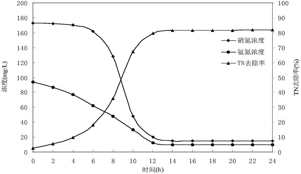 Aerobic denitrifying pseudomonas and application thereof