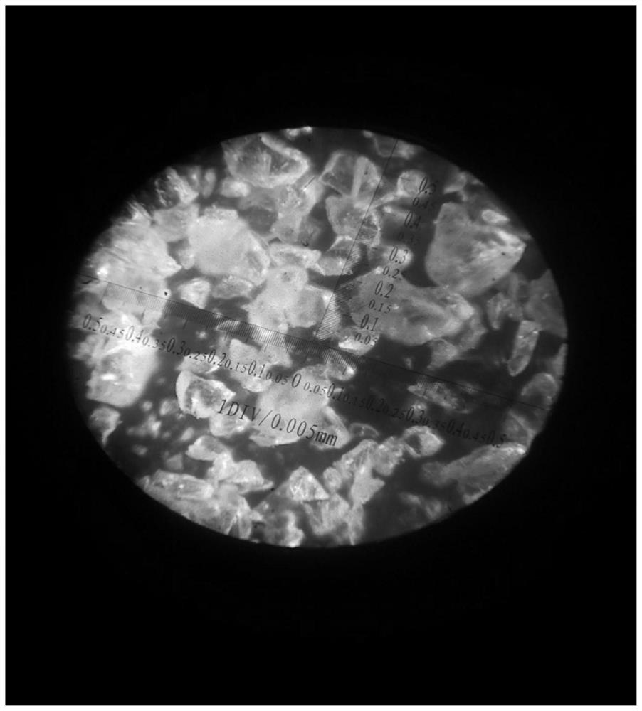 Rock plate and preparation method thereof