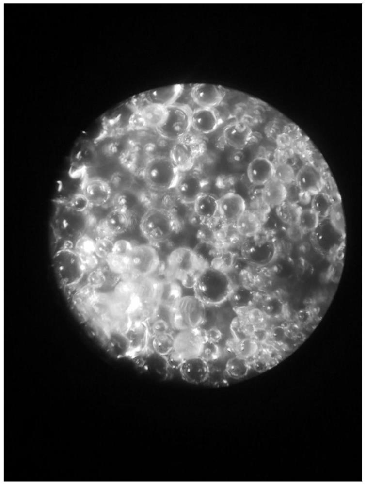 Rock plate and preparation method thereof